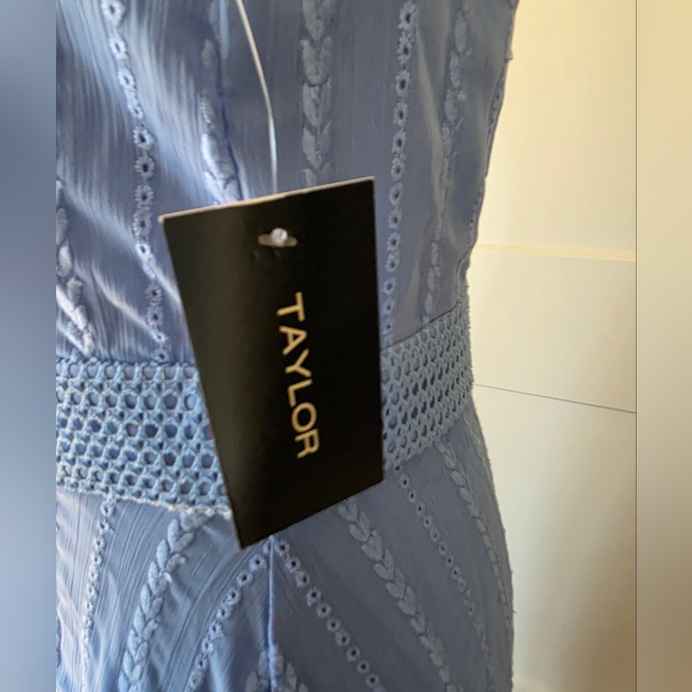 Maxi Dress By Taylor-NWT - Picture 4 of 10